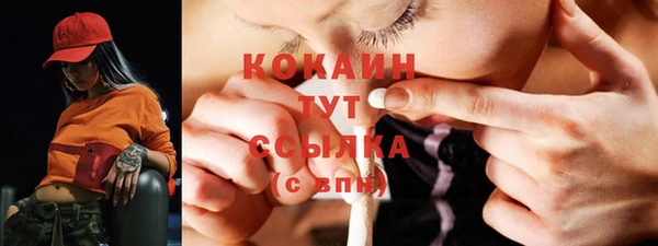 дживик Богданович